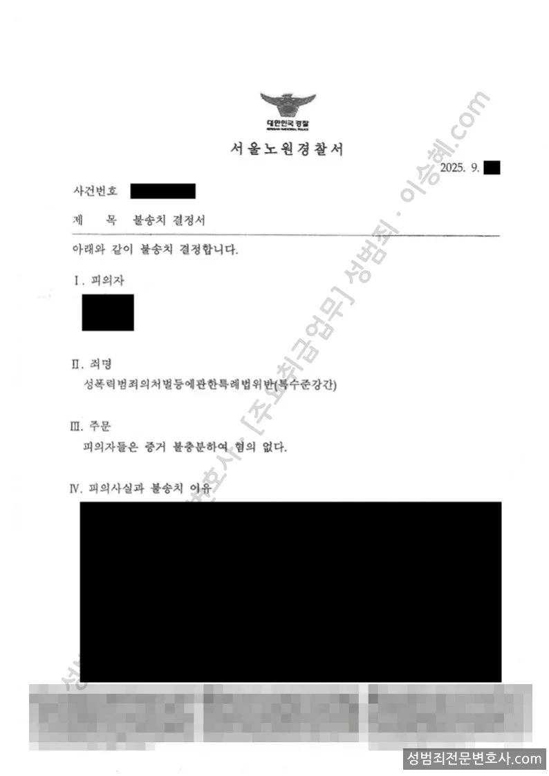 성폭법위반(특수준강간) 처분문서(개인정보 삭제)